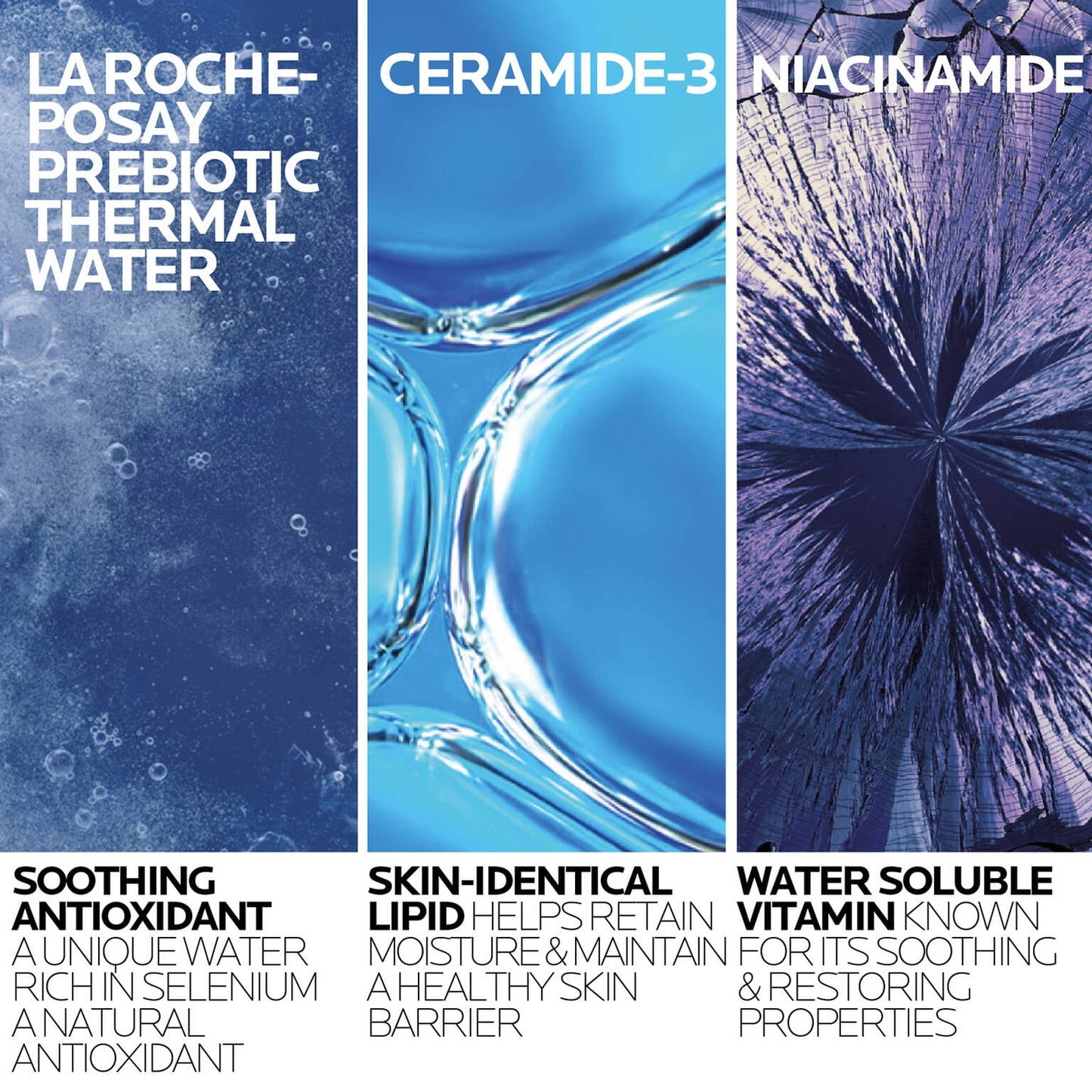 toleriane-purifying-foaming-cleanser-and-toleriane-double-repair-face-moisturizer-travel-set-x0 2-TolerianeCleanserUSRefill-400ml-ATF Ingredient Science-Rev.jpg