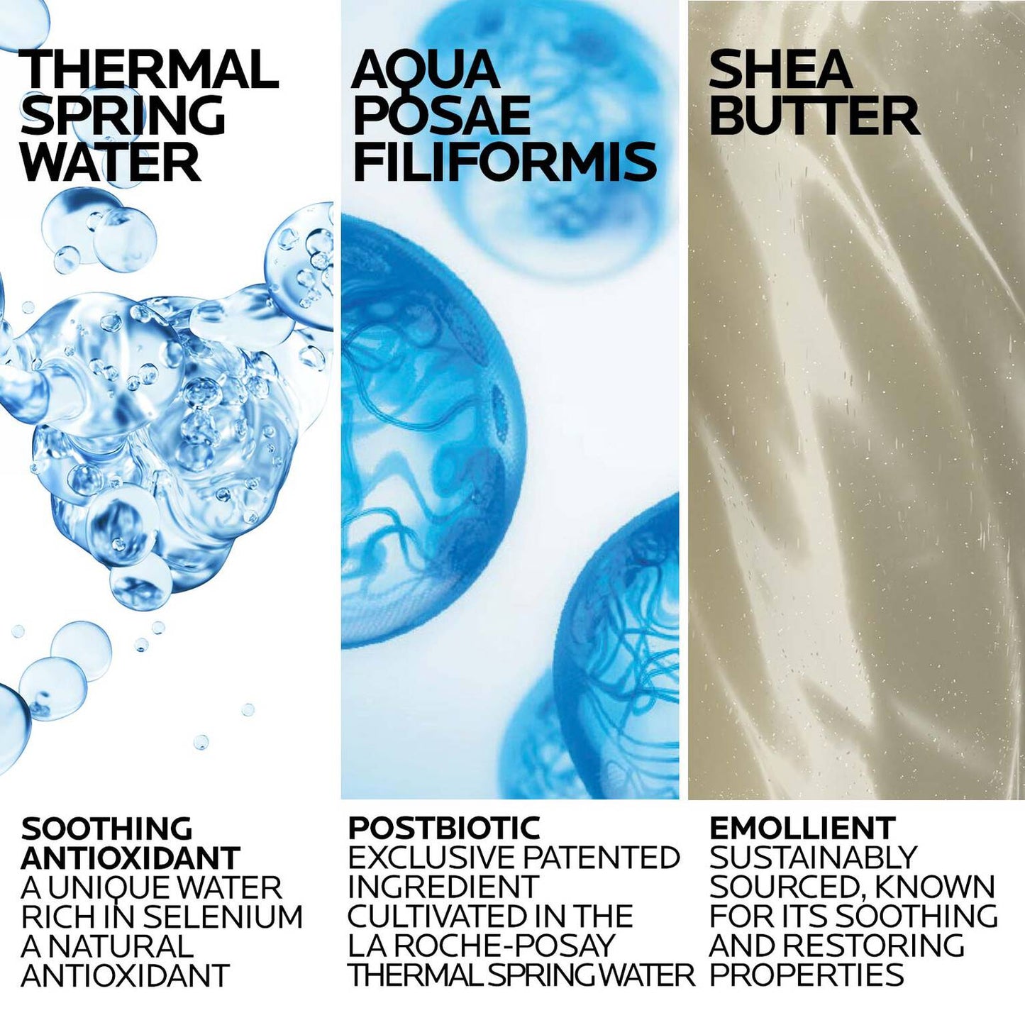 lipikar-wash-ap-moisturizing-body-and-face-wash-p2 Lipikar-Wash-ingredients_1500x1500-REV.jpg